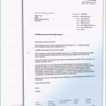 Sensationell Kündigung Mietvertrag Einliegerwohnung