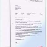 Sensationell Kundigung Strom Umzug Vorlage Absender Adressat