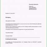 Sensationell Kündigungsschreiben Arbeitnehmer Vorlage