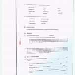 Sensationell Kundigungsschreiben Minijob Arbeitnehmer Vorlage Kostenlos