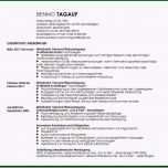 Sensationell Lebenslauf Mitarbeiter Versandwareneingang Muster