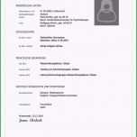 Sensationell Lebenslauf Muster Für Erfolgreiche Bewerbung