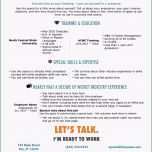 Sensationell Lebenslauf Vorlage Ohne Bild Neu Lebenslauf Vorlage Cfo