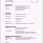 Sensationell Lebenslauf Vorlage Schülerpraktikum Erstaunlich 6