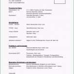 Sensationell Lebenslauf Vorlagen Headhunter100