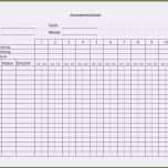 Sensationell Muster Kassenbericht