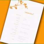 Sensationell Muster Lebenslauf Word Muster Lebenslauf Wiedereinsteiger