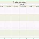 Sensationell Muster Und Beispiel Bildungsbibel