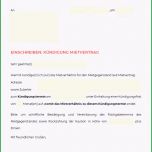 Sensationell Nützliche Vorlagen Für Vermieter &amp; Mieter Als Pdf Template