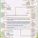 Sensationell Planet Beruf Lebenslauf Vorlage Hübsch Infos Zur