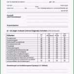 Sensationell Praktikumsbescheinigung