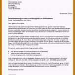 Sensationell Praktikumszeugnis Vorlage Schüler Modell