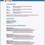 Sensationell Professioneller Lebenslauf Vorlage In Word