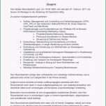 Sensationell Projektbeschreibung Vorlage Elegant Pdf Energyvisionfo