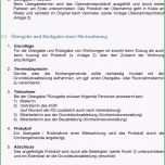 Sensationell Protokoll Schreiben Vorlage Elegant 50 Am Interessantesten