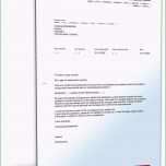 Sensationell Referenzschreiben Englisch