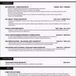 Sensationell Resume Watermark