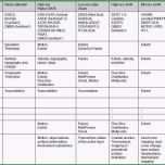 Sensationell Risikobeurteilung Vorlage Excel Cool Ungewöhnlich