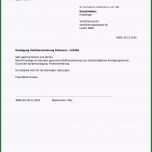 Sensationell Schreiben Versicherung Schadensregulierung Vorlage