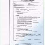 Sensationell Schriftführer Verein Protokoll Vorlage – Vorlagen 1001