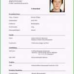 Sensationell Schüler Lebenslauf Vorlage Neu Lebenslauf Vorlage Schüler