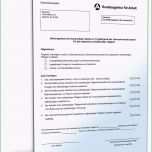 Sensationell Stellungnahme Zur Unterstützung Einer Selbstständigkeit