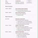 Sensationell Tabellarischer Lebenslauf Muster Ktforsenate Schulischer