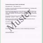 Sensationell Vorlage Antrag Elternzeit Vater Neu 52 Luxus Galerie