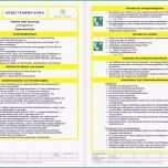 Sensationell Vorlage Betriebsanweisung Elegant Die Fabelhaften