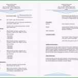 Sensationell Vorlage Englischer Lebenslauf Genial Inspirierende