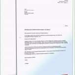 Sensationell Vorlage Kündigung Gasanbieter Mietvertrag Kundigen Vorlage