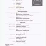 Sensationell Vorlage Lebenslauf Fur Ausbildung 44 Vorlage Lebenslauf