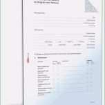 Sensationell Wohnungsbewerbung Vorlage Pdf Fabelhaft Abnahmeprotokoll