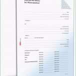 Sensationell Zählerprotokoll Wohnung Bei Mieterwechsel Muster Zum Download