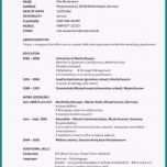 Toll 10 Modern Lebenslauf Beispiel