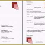 Toll 11 Erzieherin Lebenslauf