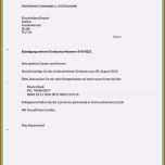 Toll 11 Rentenversicherung Kündigen Vorlage