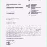 Toll 12 Pressemitteilung Vorlage