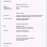 Toll 13 Bankkaufmann Bewerbung