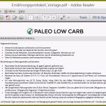 Toll 13 Ernährungsprotokoll Vorlage