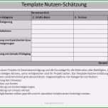 Toll 13 Kosten Nutzen Analyse Vorlage