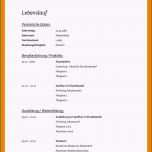 Toll 14 Lebenslauf Vorlage Praktikum