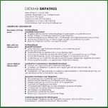 Toll 15 Biografiearbeit Altenpflege Muster Vorlagen123