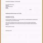 Toll 15 Kündigung Per Email Vorlage