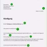 Toll 15 Kündigungsschreiben Versicherung Vorlage Gratis