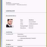 Toll 15 Lebenslauf Entwurf