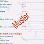 Toll 15 Notfallkarte Vordruck