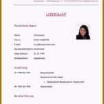 Toll 15 Steckbrief Neuer Mitarbeiter Vorlage