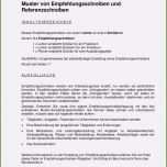 Toll 15 Vorlage Steckbrief Word