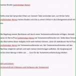 Toll 16 Testament Vorlage Alleinerbe